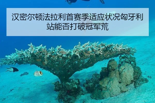 han-mi-er-dun-fa-la-li-shou-sai-ji-shi-ying-zhuang-kuang-xiong-ya-li-zhan-neng-fou-da-po-guan-jun-huang-3-155.jpg
