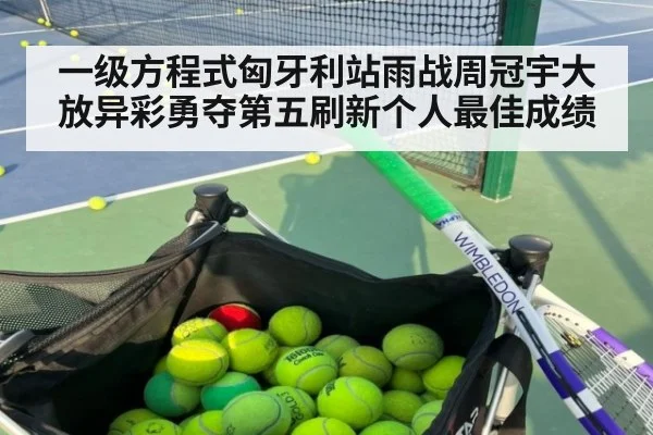 一级方程式匈牙利站雨战周冠宇大放异彩勇夺第五刷新个人最佳成绩