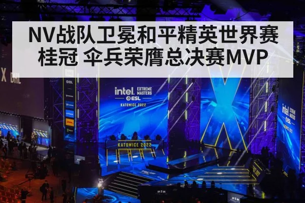 NV战队卫冕和平精英世界赛桂冠 伞兵荣膺总决赛MVP